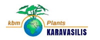 KARAVASILIS PLANTS - KBM